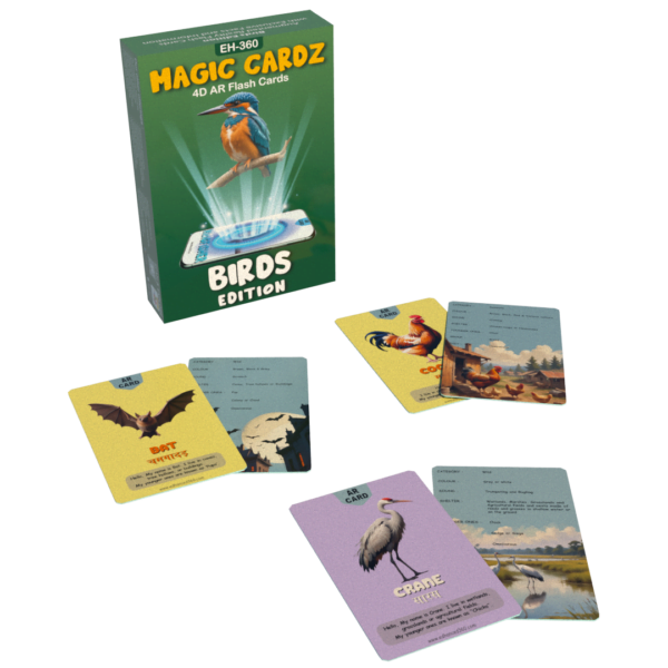 4D Birds flash cards