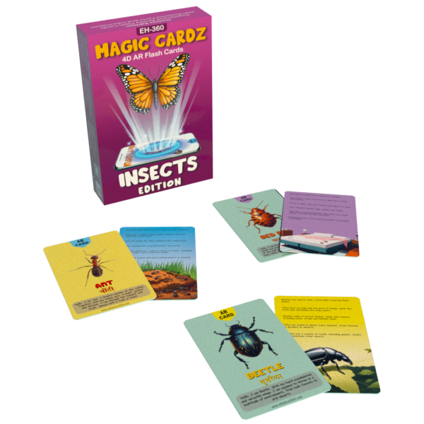 4D insects flash cards
