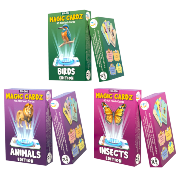 4D flash cards