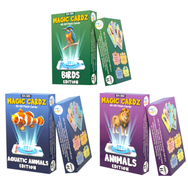 4d Flash cards