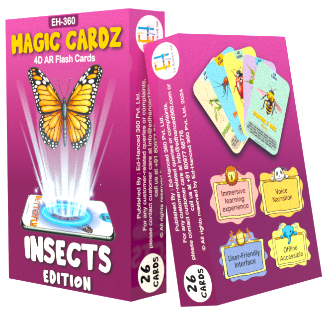4D insects flash cards